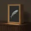 Makreel - Vis - Zwart Light Box met kabel (Tafellamp) klein -z3d_website