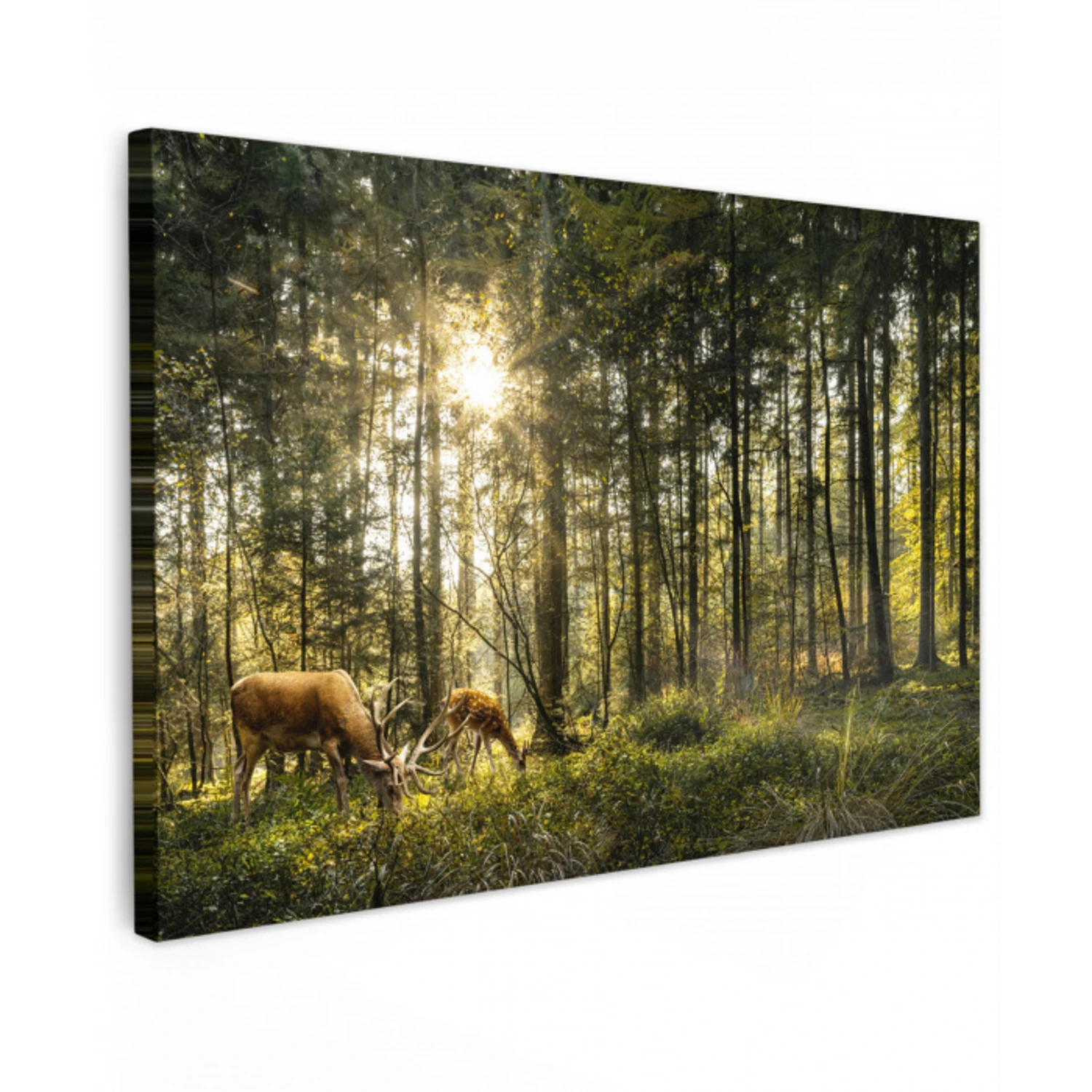Hert - Natuur - Bos canvas 2cm klein -z3d