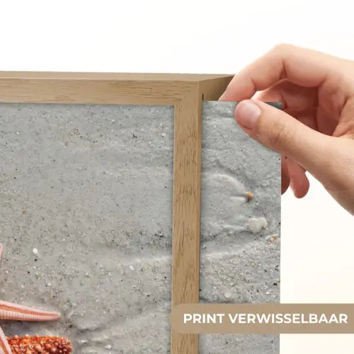 Zeester - Strand - Zee Light Box met batterij (Wandlamp) middel -USP_websiteprintNL