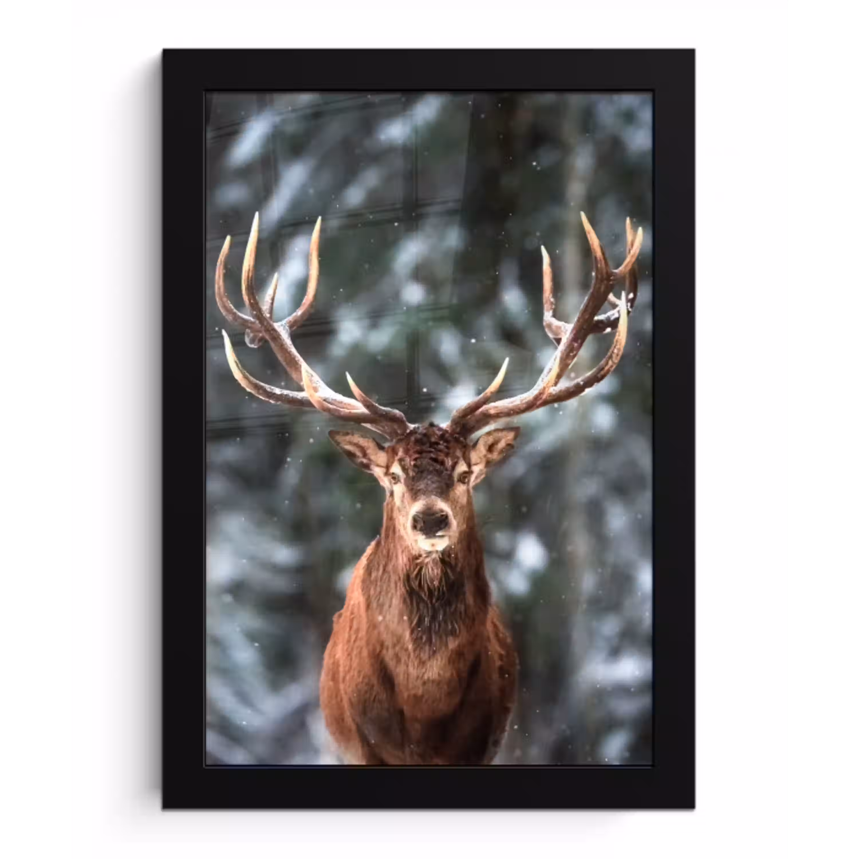 Hert - Winter - Sneeuw - Bos - Natuur - Dier fotolijst zwart zonder passe partout klein -3d