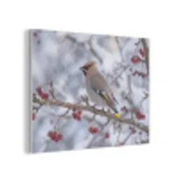 Pestvogel - Bessen - Winter - Natuur PET vilt klein -3d