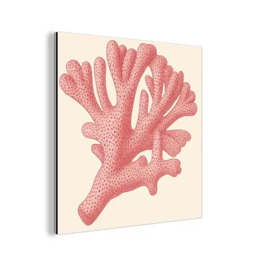 Koraal - Stipjes - Roze aluminium wit klein -3d