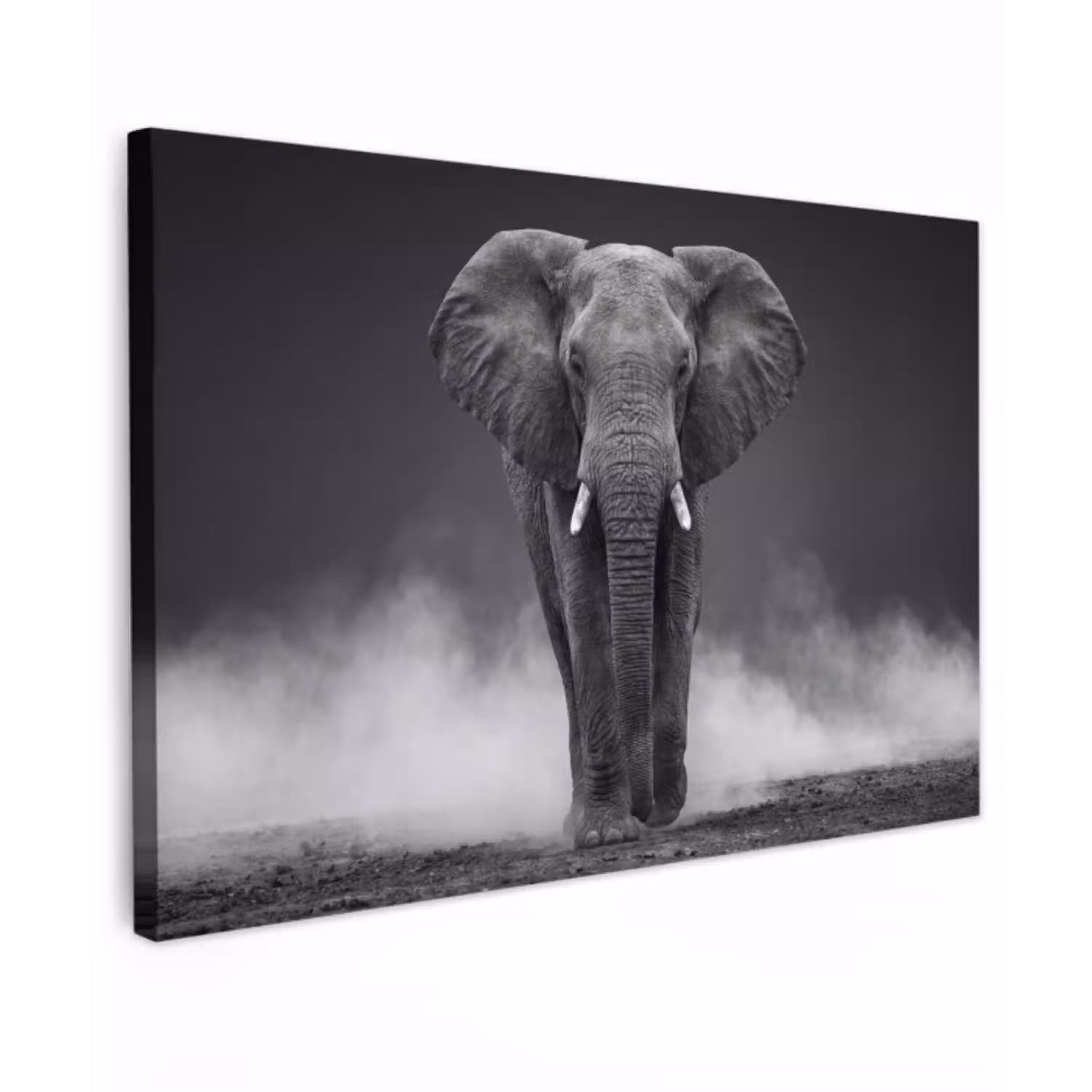 Olifant - Zwart - Wit - Rook Tuinposter op houten frame 2 cm dik klein -3d