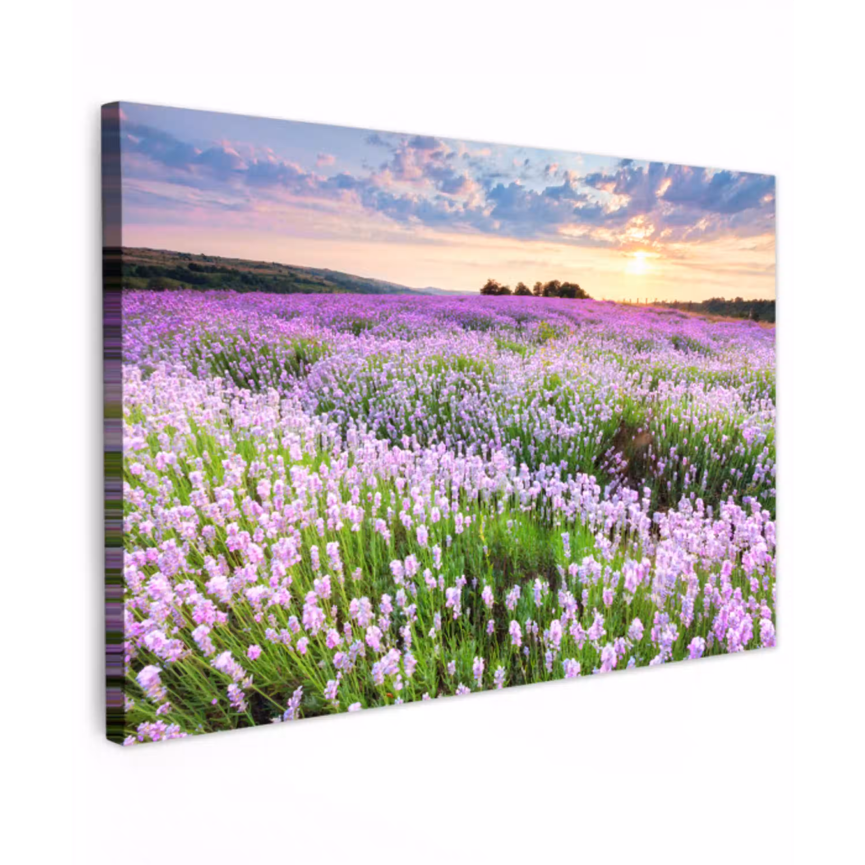 Bloemen - Lavendel - Paars - Lucht - Zonsondergang - Weide - Natuur canvas 2cm klein -z3d