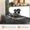 Honden - Bivakmuts - Zwart - wit keuken achterwand 2 middel -usp_NL