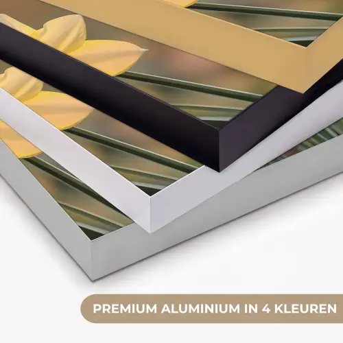 Bloemen - Geel - Wazig Textielframe zwart klein -USP_kleurenNL