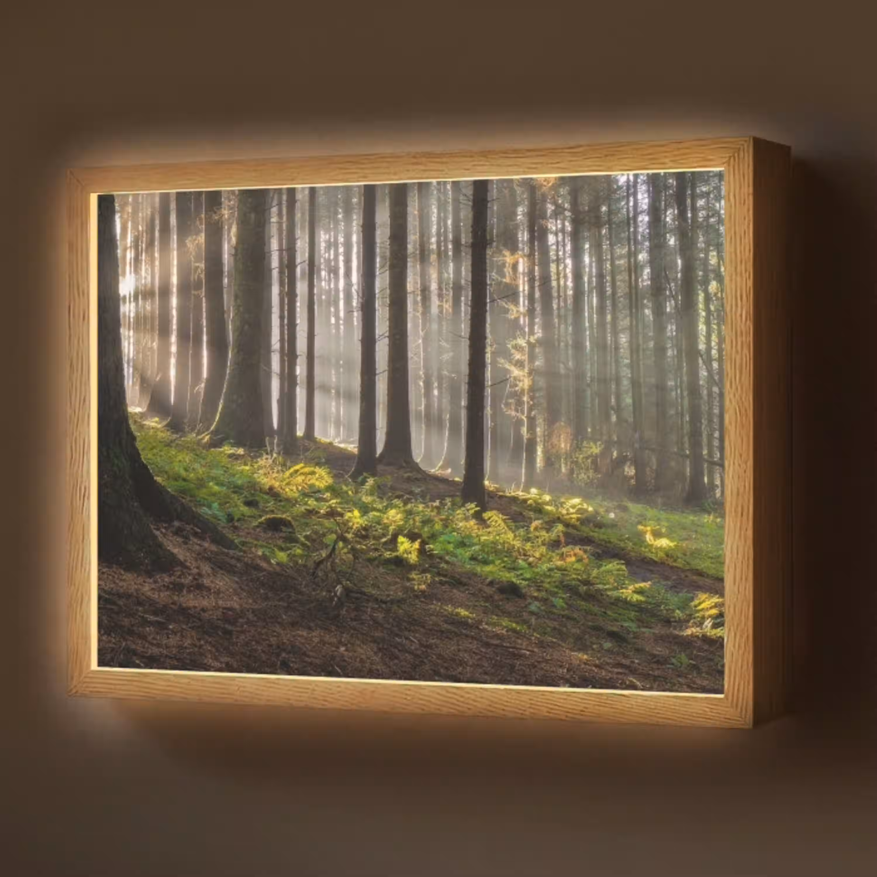 Zon - Takken - Bomen - Bos - Natuur Light Box met batterij (Wandlamp) middel -z3d_website