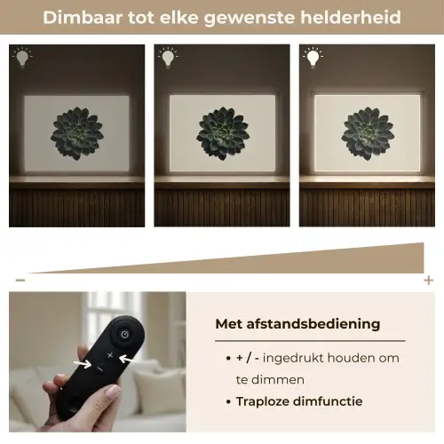 Rozet - Cirkelvormig - Donkergroen Light Box met batterij (Wandlamp) middel -USP_dimbaarNL