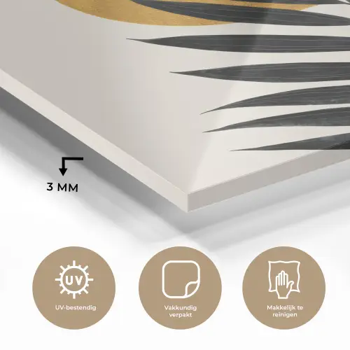 Zwart palmblad - Gouden cirkel - Beige achtergrond plexiglas 5mm klein -sfeer2