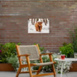 Schotse Hooglander - Sneeuw - Winter - Natuur - Dieren Tuinposter op houten frame 2 cm dik klein -sfeer3