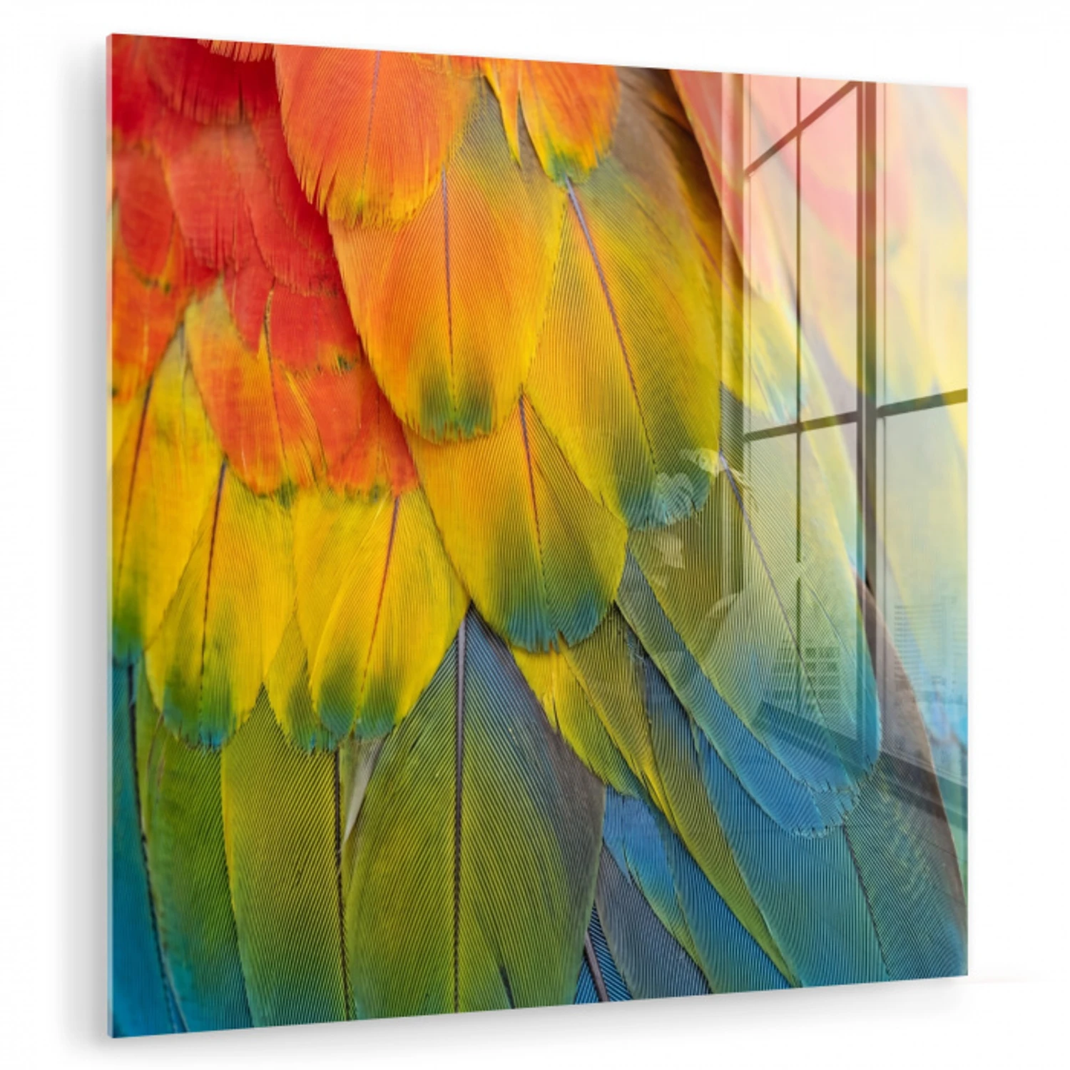 Veren - Ara - Kleurrijk plexiglas 5mm klein -zzzproduct_nieuw