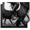 Paard - Sport - Zwart - Wit Inductie beschermer vinyl 3mm middel -3d