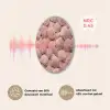 Schelpen - Patroon - Roze Akoestische PET Vilt - Rond klein -USP_NL
