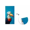 Toekan - Papegaai - Vogel - Koksmuts fotobehang vinyl groot -3d