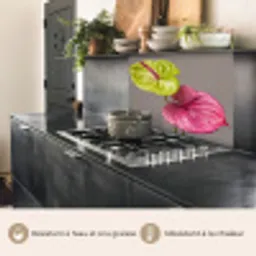 Planten - Anthurium - Groen - Roze keuken achterwand 2 middel -usp_FR