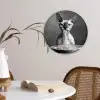 Sphynx - Kat - Dieren - Humor - Spaghetti - Zwart Wit Wandcirkel plexiglas klein -sfeer4
