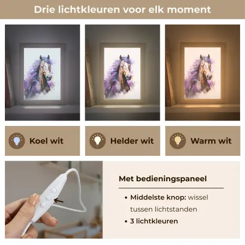 Paard - Dieren - Meiden - Paars - Bruin Light Box met kabel klein -USP_lichtkleurNL
