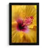 Geel - Hibiscus - Tropisch fotolijst zwart zonder passe partout klein -3d