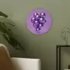 Druif - Disco - Glitter - Paars Akoestische PET Vilt - Rond klein -sfeer2
