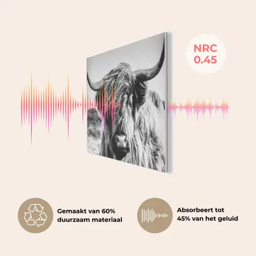 Schotse hooglander - Close up - Horens - Vacht - Zwart Wit PET vilt klein -USP_NL