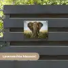 Olifant in de savanne tuinposter los doek klein -sfeer3