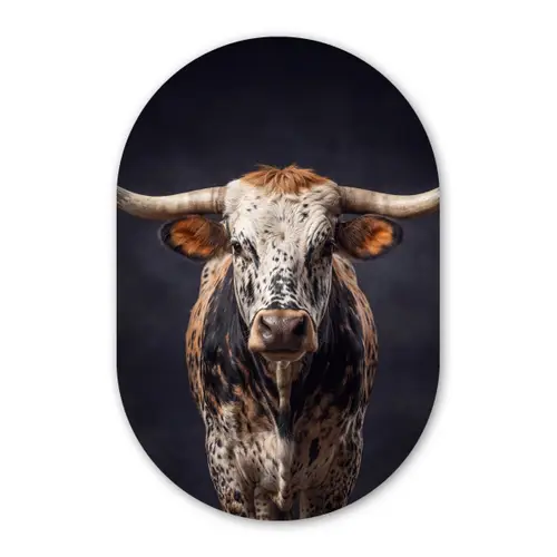 Stier - Kleurrijk - Hoorns Wandcirkel Ovaal Forex klein -3d