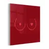 Minimalistisch - Lijnillustratie - Rood plexiglas 5mm klein -z3d