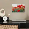 Klaproos - Bloemen - Rood - Paars - Weide poster papier klein -sfeer1