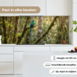 Quetzal - Jungle - Natuur - Groen keuken achterwand 2 middel -sfeer4_NL