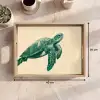 Schildpad - Sierlijk - Groen - Schild Dienblad Rechthoek middel -USP_Formaat