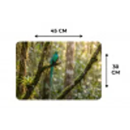 Quetzal - Jungle - Natuur - Groen Placemat vinyl groot -specs