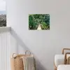 Touwbrug in het Tropisch Woud tuinposter los doek klein -sfeer8