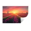 Windmolen - Zonsondergang - Landschap Muursticker klein -3d