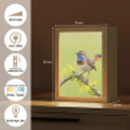 Vogel - Tak - Natuur - Kleurrijk Light Box met kabel (Kinderlampje) klein -USP_FR