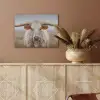 Longhorn - Grasveld - Dier PET vilt klein -sfeer4