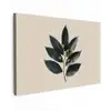 Laurierbladeren - Bloemknoppen - subtiel canvas 2cm klein -z3d