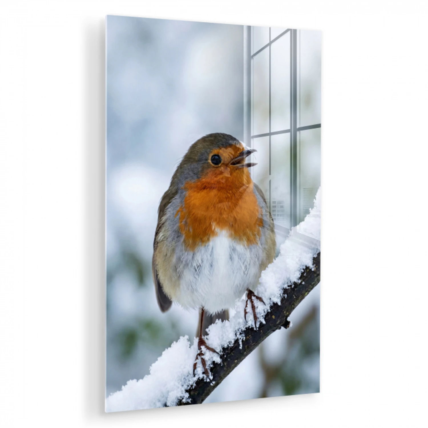 Roodborstje - Tak - Sneeuw - Winter - Levendig plexiglas 5mm klein -zzzproduct_nieuw
