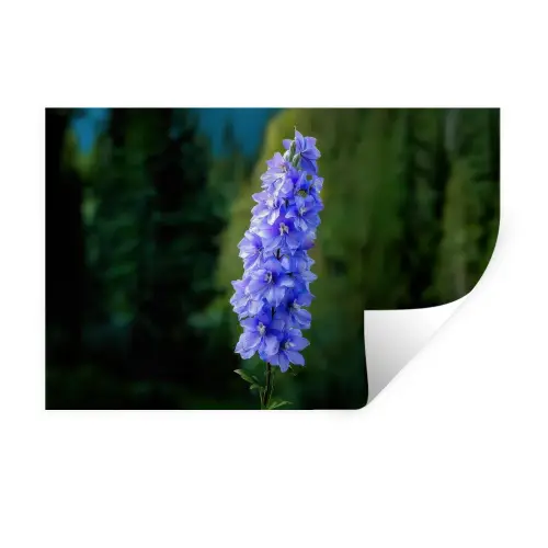 Bloemen - Blauw - Dennenboom Muursticker klein -3d