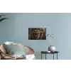Leeuw - Dieren - Portret - Zwart - Luxe Muursticker klein -plant