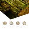 Bomen - Steen - Bos - Natuur - Planten poster papier klein -closeup_NL