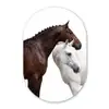 Paard - Modern - Balans Wandcirkel Ovaal Aluminium middel -3d
