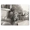 Eland - Auto - Gewei - Zwart - Wit muismat rubber klein -3d