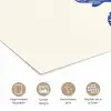 Schelpen - Blauw - Patroon poster papier klein -closeup_NL
