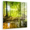 Bos - Landschap - Water - Bomen - Zon - Groen - Natuur plexiglas 5mm klein -zzzproduct_nieuw