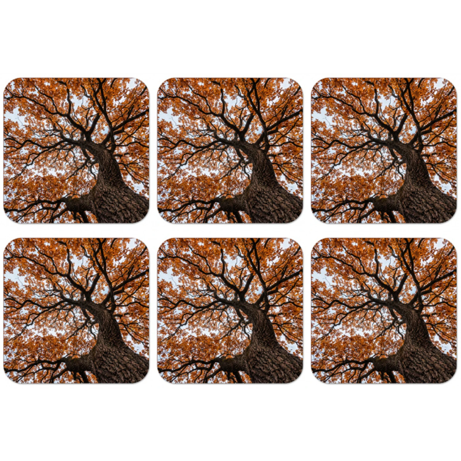 Boom - Bladerdak - Herfst - Oranje - Sfeervol onderzetter kurk middel -zkaufland3dotto