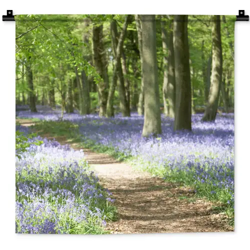Bos - Pad - Bloemen - Paars - Groen - Natuur Wandkleed katoen klein -zz3d