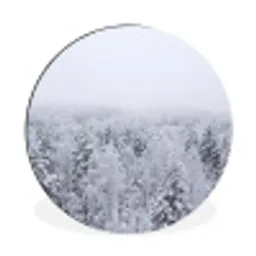 Bos - Sneeuw - Winter - Natuur - Wit Wandcirkel aluminium klein -3d