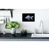 Porselein - Goudvis - Delfts - Blauw Muursticker klein -keuken