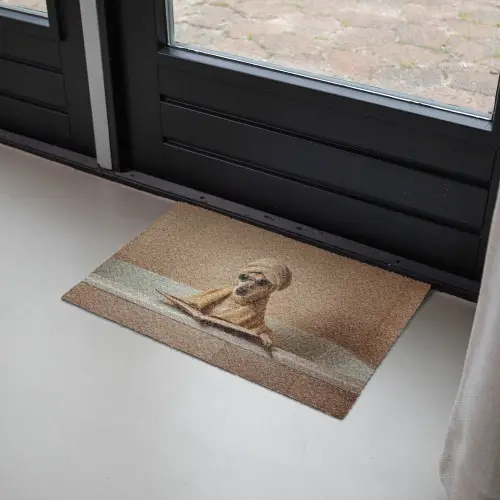 Bad - Hond - Boek - Zonnebril Deurmat klein -sfeer2