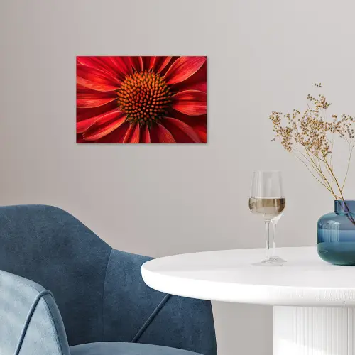 Close up - Bloem- Rood poster papier klein -sfeer3